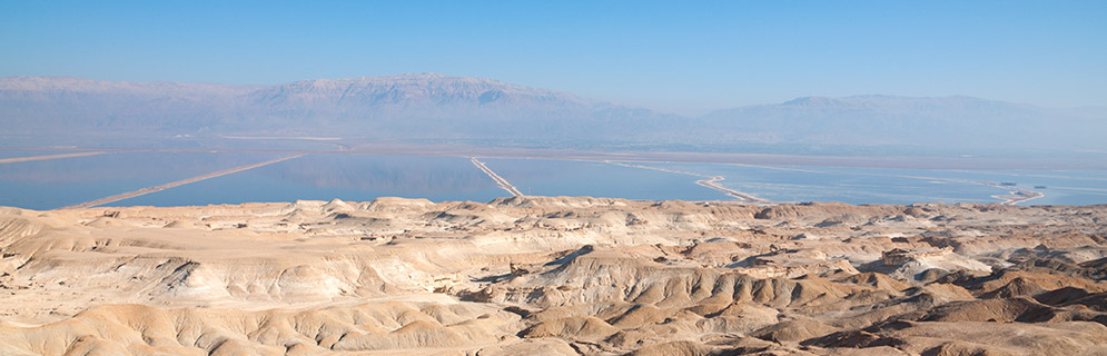 David Dead-Sea Resort- South